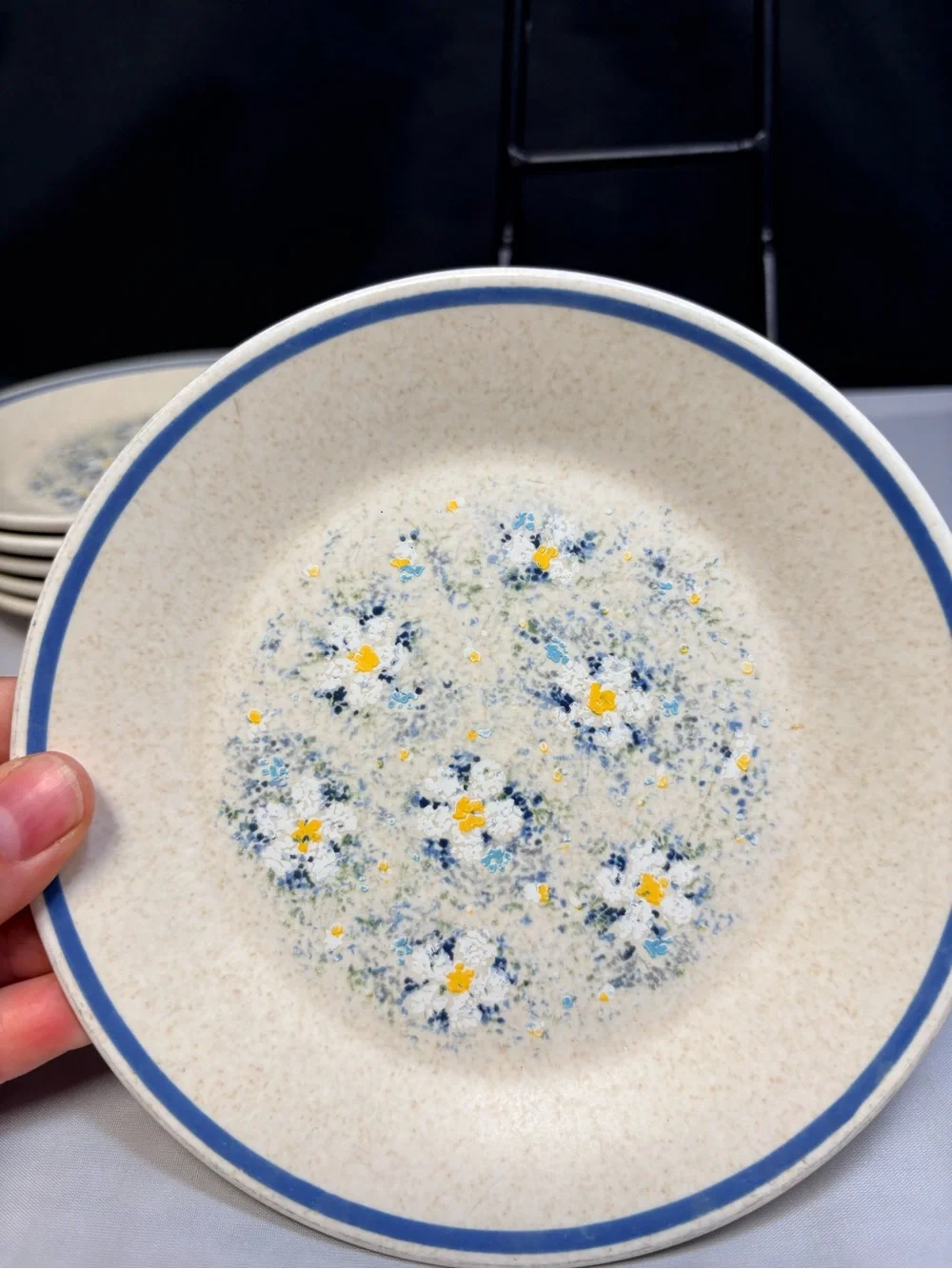 Lenox Temperware Dewdrops 6